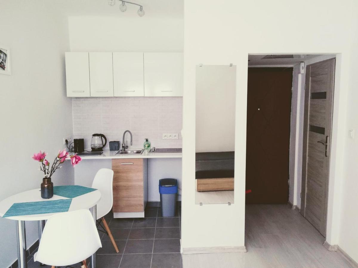 Studio Centrum - 1 Maja 16 Apartment Zabrze Ngoại thất bức ảnh