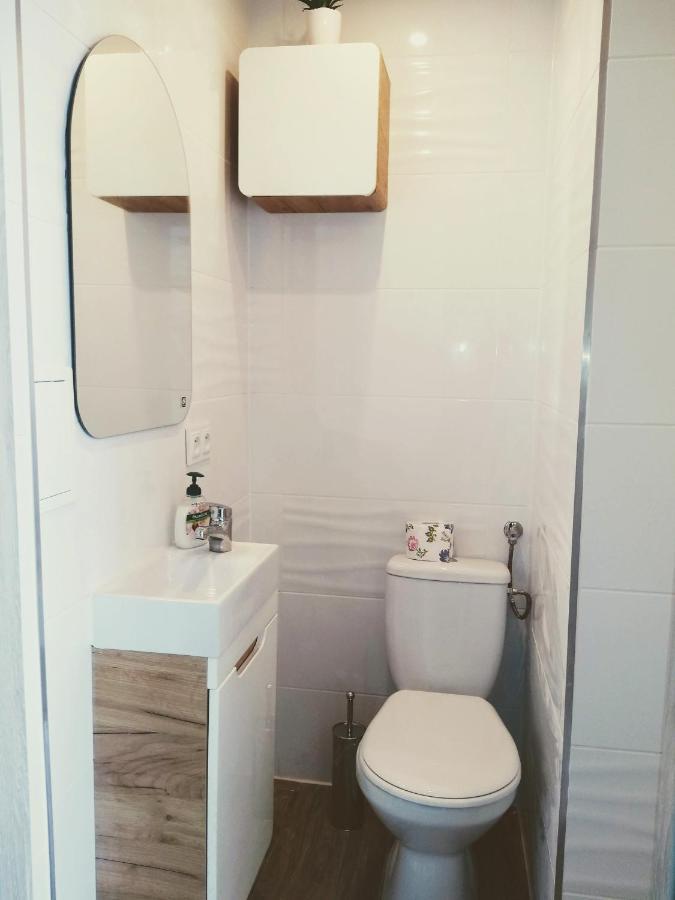 Studio Centrum - 1 Maja 16 Apartment Zabrze Ngoại thất bức ảnh