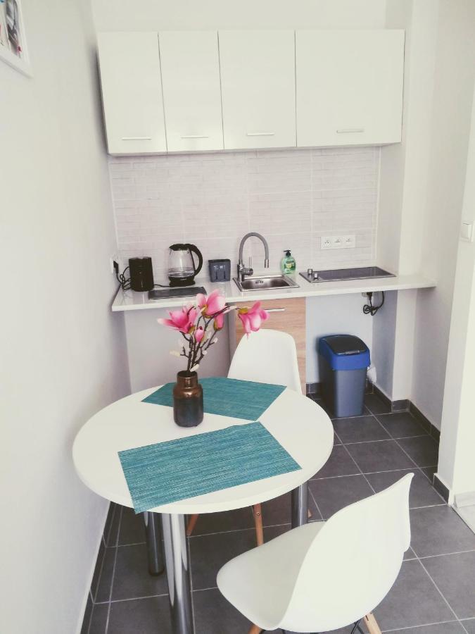 Studio Centrum - 1 Maja 16 Apartment Zabrze Ngoại thất bức ảnh